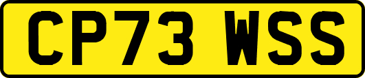 CP73WSS