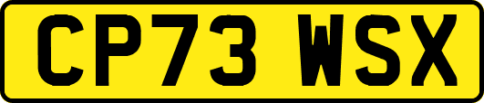 CP73WSX