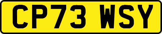 CP73WSY