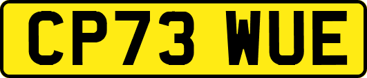 CP73WUE