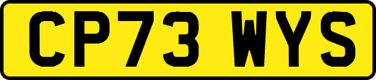 CP73WYS