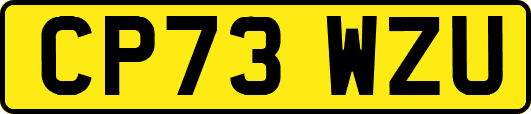 CP73WZU