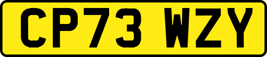 CP73WZY