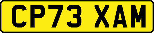 CP73XAM