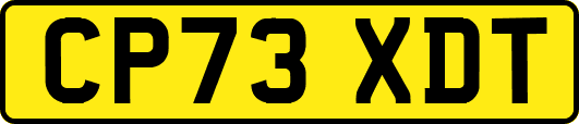 CP73XDT