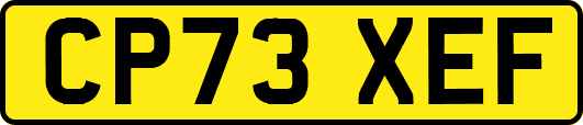 CP73XEF