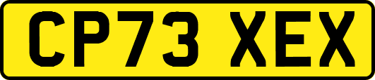 CP73XEX