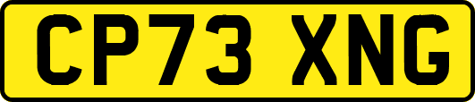 CP73XNG