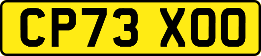 CP73XOO