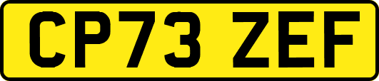 CP73ZEF