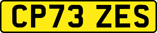 CP73ZES