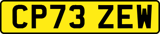 CP73ZEW