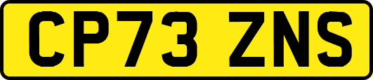 CP73ZNS
