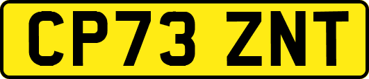 CP73ZNT