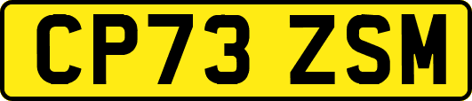 CP73ZSM