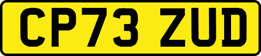 CP73ZUD