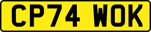 CP74WOK