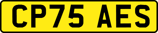 CP75AES