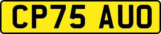 CP75AUO