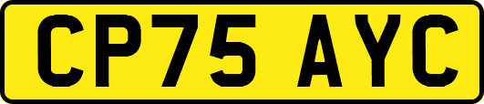 CP75AYC