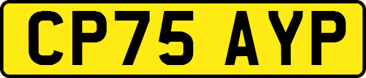 CP75AYP