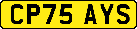 CP75AYS