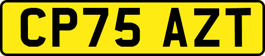CP75AZT