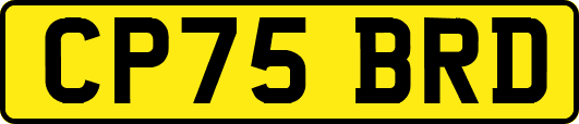 CP75BRD