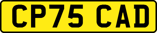 CP75CAD