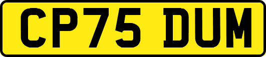 CP75DUM