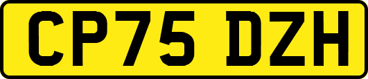 CP75DZH