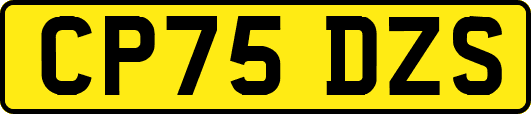 CP75DZS