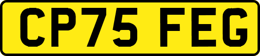 CP75FEG