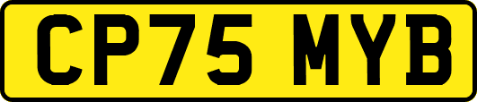 CP75MYB