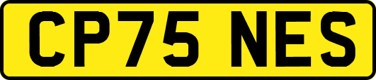 CP75NES