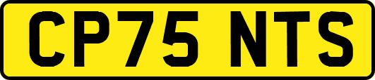 CP75NTS