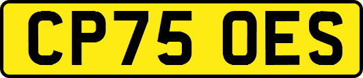 CP75OES