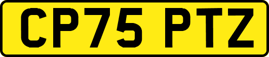 CP75PTZ