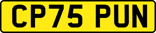 CP75PUN