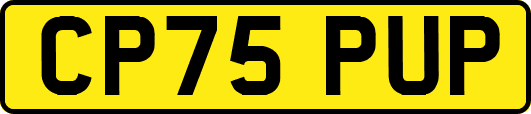 CP75PUP