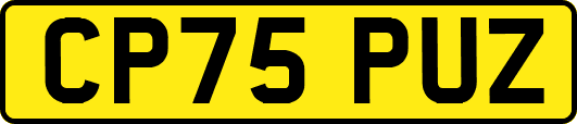 CP75PUZ