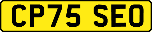 CP75SEO
