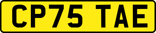 CP75TAE