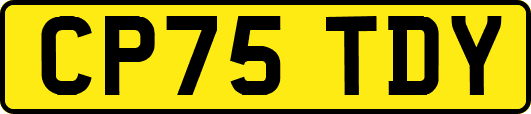 CP75TDY