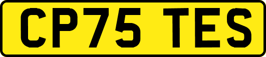 CP75TES