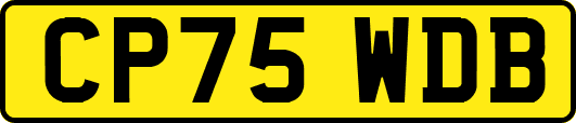CP75WDB
