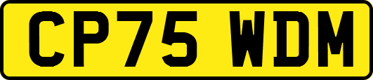 CP75WDM