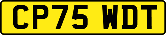 CP75WDT