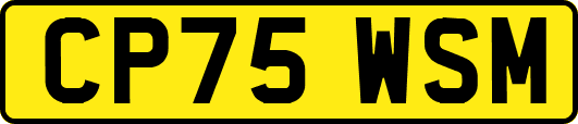 CP75WSM