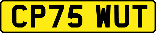 CP75WUT